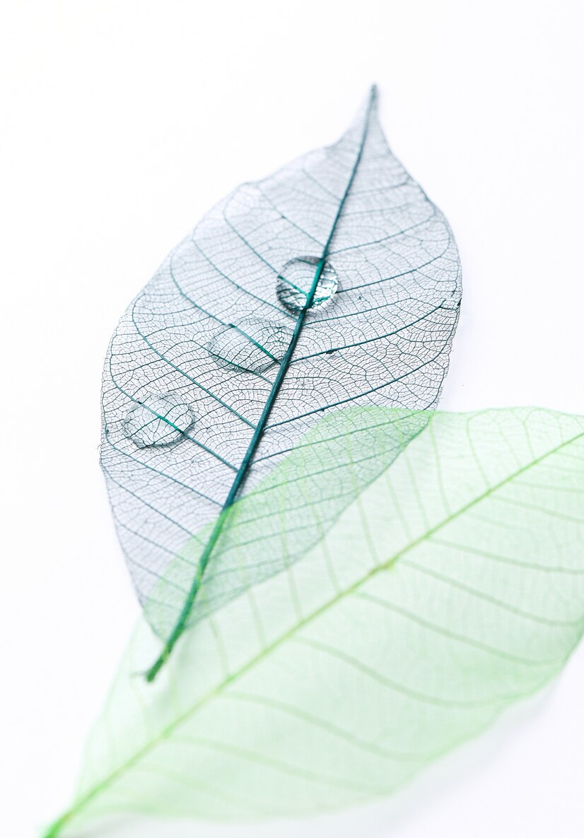 8781cc3f5eb27aa5170d2f00e0a11d67